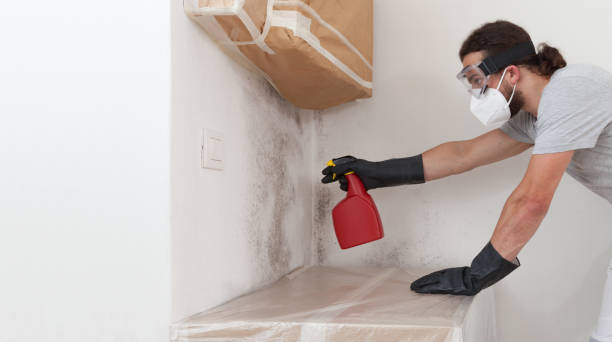 Professional Mold Removal technician working in Marne, MI